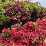 Commercial Landscaping That Elevates Your Property for 2026