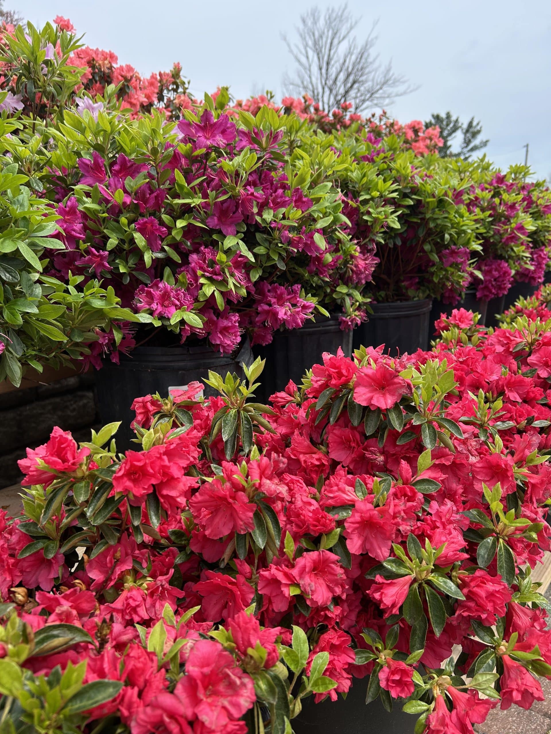 You are currently viewing Commercial Landscaping That Elevates Your Property for 2026